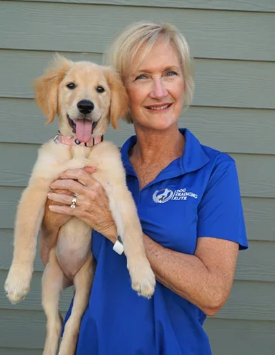 Darlene Collett