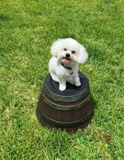 Gracie